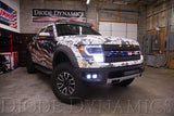 2013-2014 F-150 Raptor Switchback LED Halos