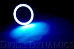 HD LED Halo Rings (pair)