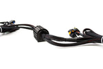 Morimoto Motorcycle Separate High/Low Headlight Elite HID System