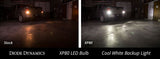 3157 XP80 LED | 1 Pair