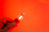 7443 XP80 LED | 1 Pair