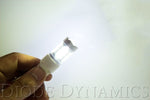 7443 XP80 LED | 1 Pair