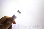3156 XP80 LED | 1 Pair